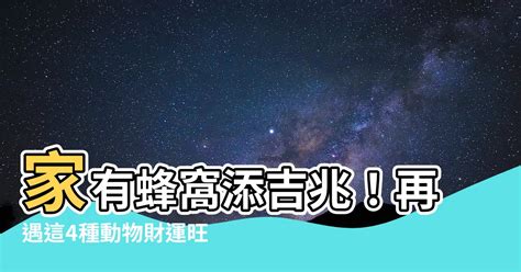 家裡有蜂窩代表|家有蜂窩預示什麼風水？千萬別把危險留在家中！